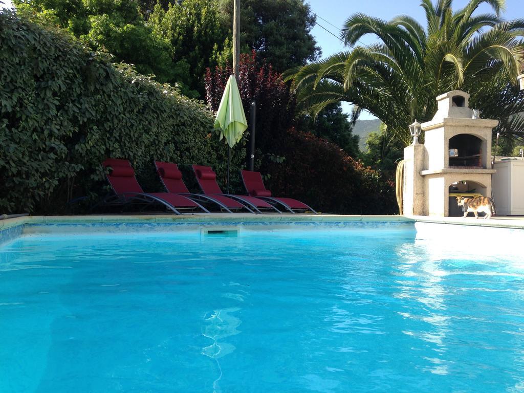 Veronique Bed & Breakfast Appietto Room photo
